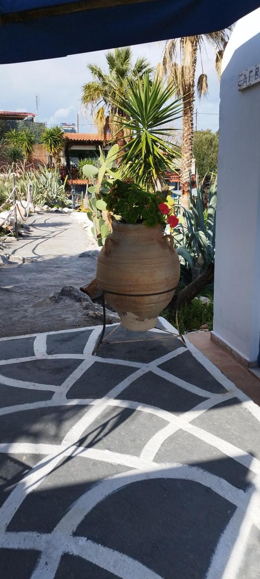 Kynosoura'S Sea View Apartment Ambelakia Exterior photo