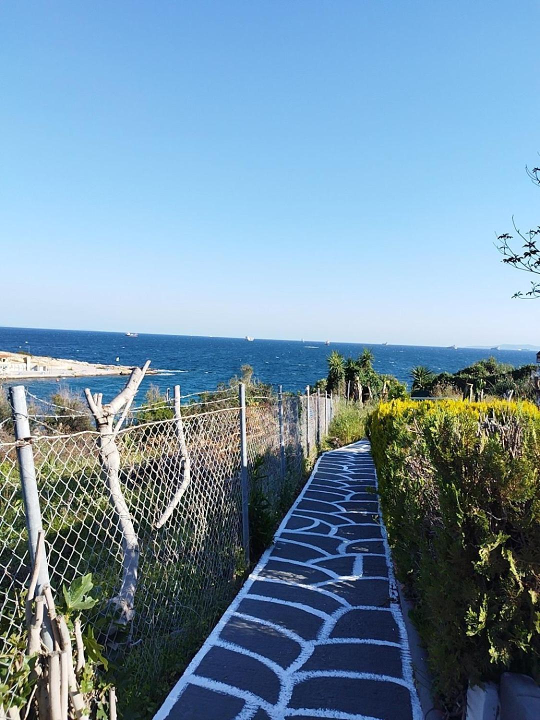 Kynosoura'S Sea View Apartment Ambelakia Exterior photo