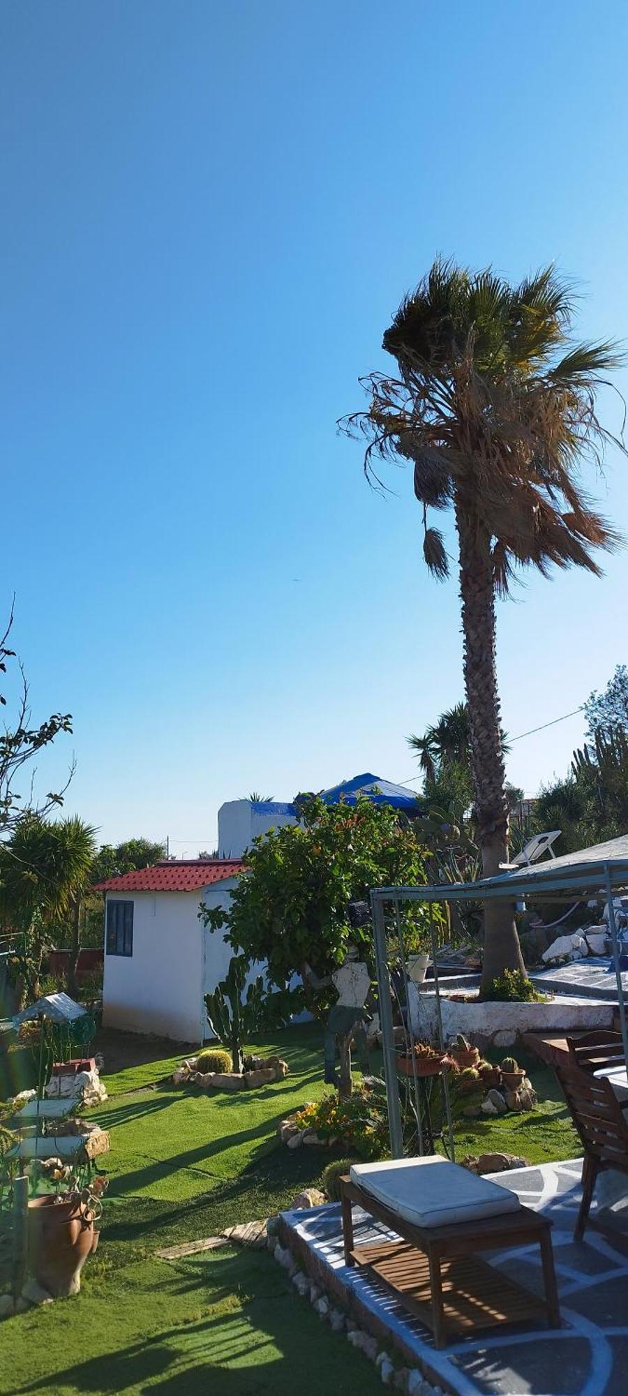 Kynosoura'S Sea View Apartment Ambelakia Exterior photo